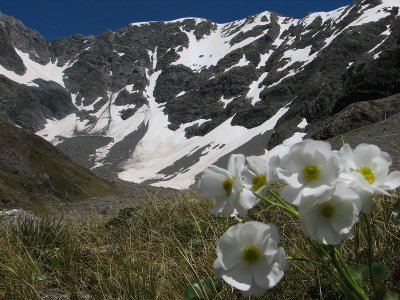 Otira Valley