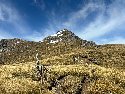 Avalanche Peak (1833m) - Scott\'s track
